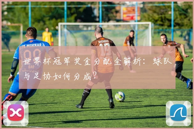 世界杯冠军奖金分配全解析:球队与足协如何分成?