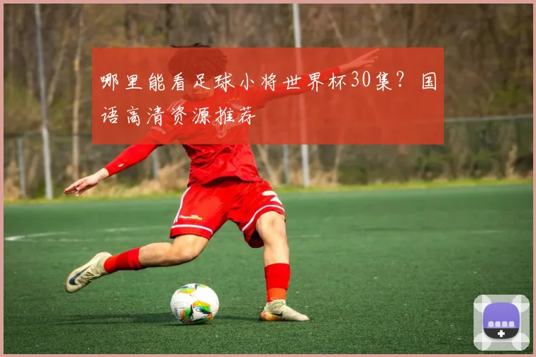 哪里能看足球小将世界杯30集?国语高清资源推荐