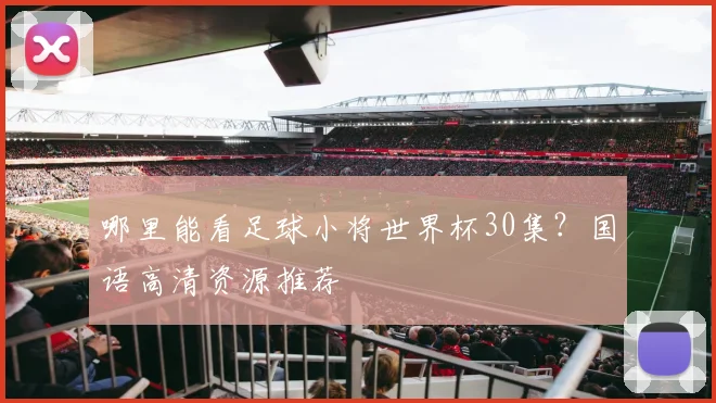 哪里能看足球小将世界杯30集?国语高清资源推荐