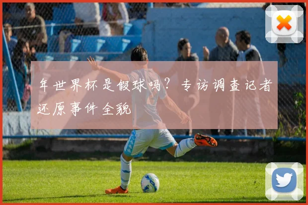 年世界杯是假球吗？专访调查记者还原事件全貌